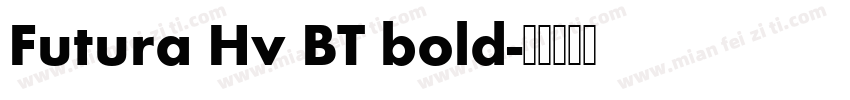 Futura Hv BT bold字体转换